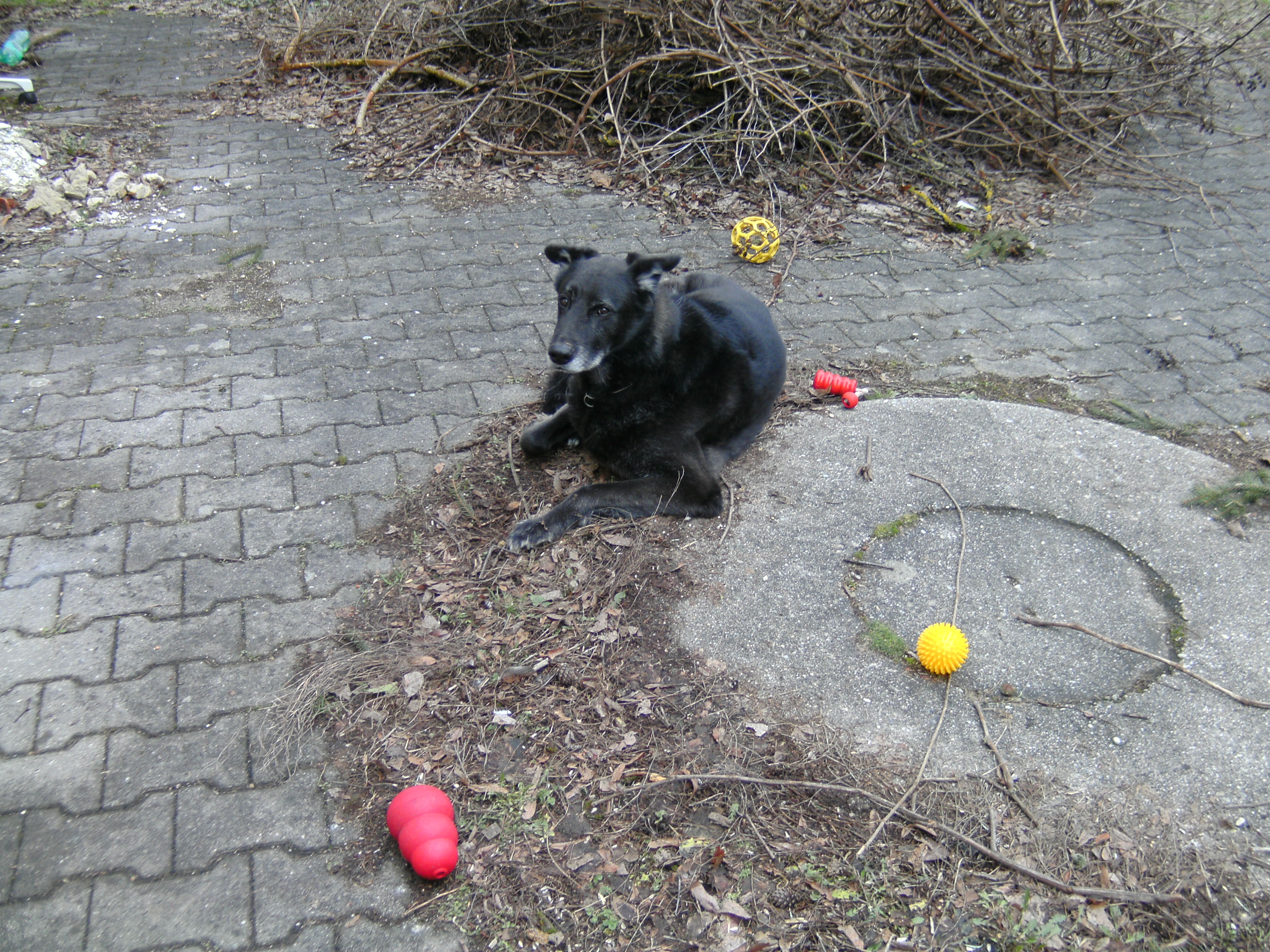 Spielkind.JPG (3472 x 2604)